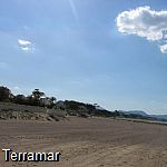 More pictures IMG_0642.jpg