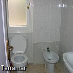More pictures IMG_1014.jpg
