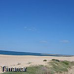 More pictures IMG_0638.jpg