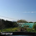 More pictures IMG_0370.jpg