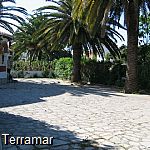 More pictures IMG_0637.jpg