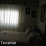 More pictures IMG_1048.jpg