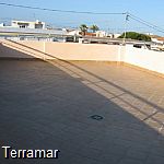 More pictures IMG_0597.jpg