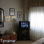 More pictures IMG_1049.jpg