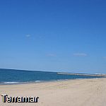 More pictures IMG_0640.jpg